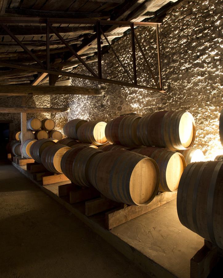 Maison Le Sepe - Vignoble Bio Et Maison D'Hotes Sainte-Radegonde  Luaran gambar